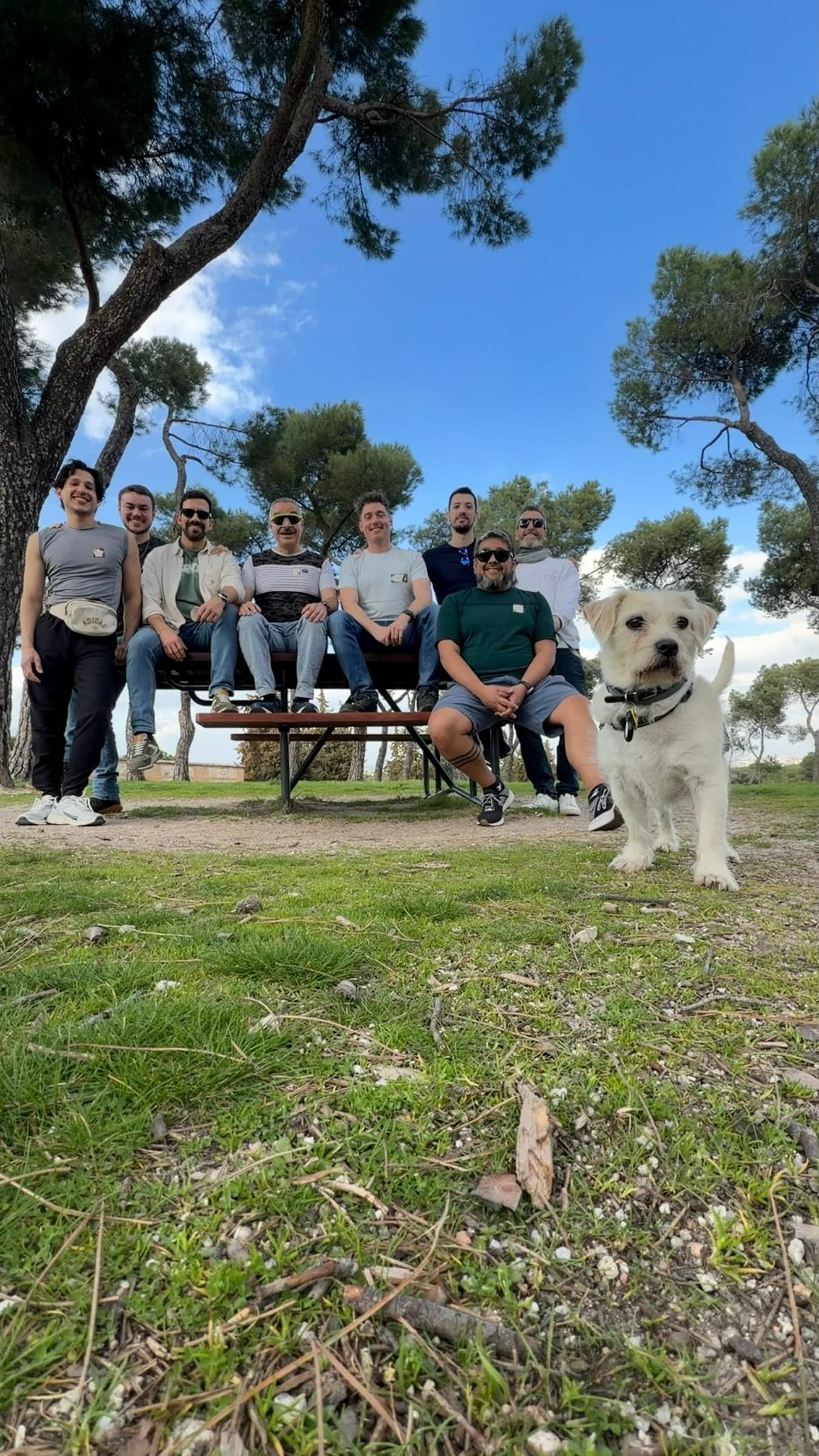 A group rests at a picnic table in the park, dog in tow.